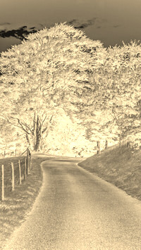 Sepia + Negatyw