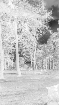 Szary + Negatyw