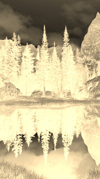 Sepia + Negatyw