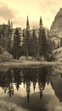 Sepia
