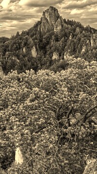 Szary + Sepia