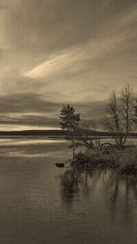 Sepia