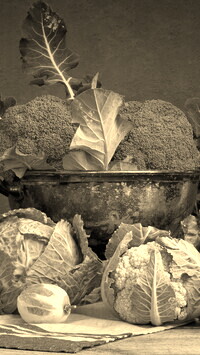 Szary + Sepia