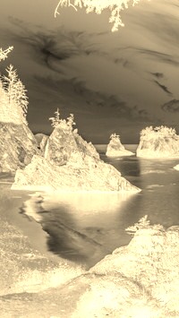 Sepia + Negatyw