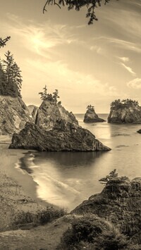 Sepia
