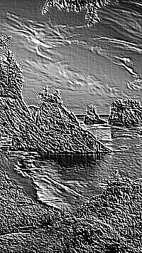 Skamielina