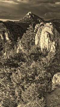 Sepia