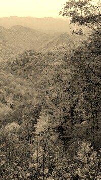 Sepia