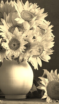 Sepia