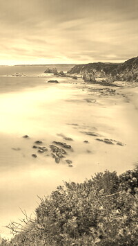 Sepia
