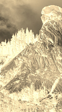 Sepia + Negatyw