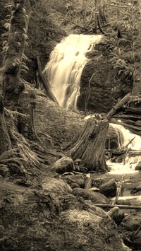 Szary + Sepia
