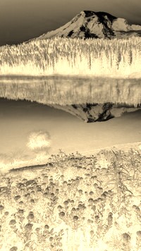 Sepia + Negatyw