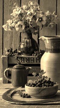 Szary + Sepia