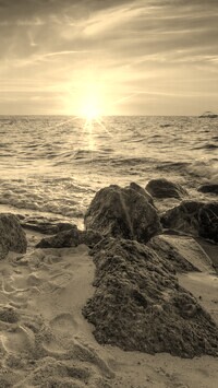 Szary + Sepia