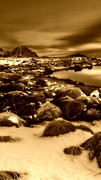 Sepia