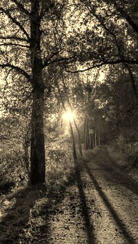 Szary + Sepia