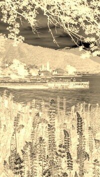 Sepia + Negatyw