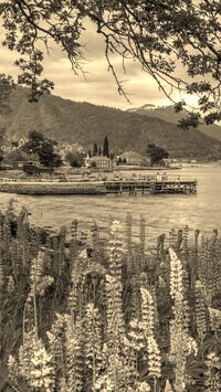 Sepia
