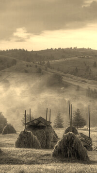 Szary + Sepia