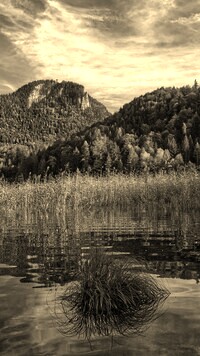 Szary + Sepia