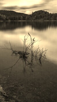 Szary + Sepia