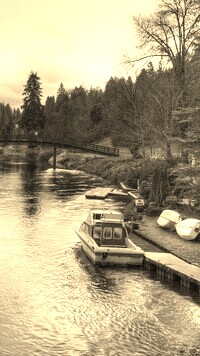 Sepia