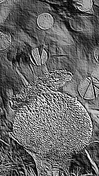 Skamielina