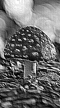 Skamielina
