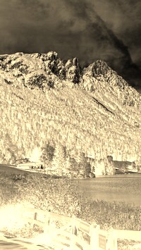 Sepia + Negatyw