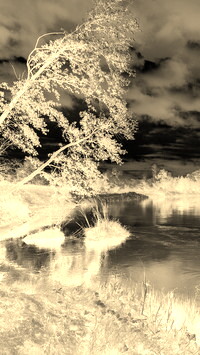 Sepia + Negatyw