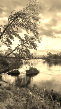 Szary + Sepia