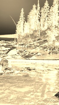 Sepia + Negatyw