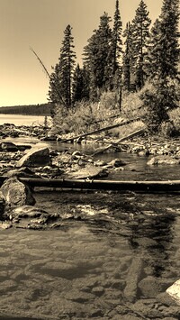 Sepia