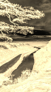 Sepia + Negatyw