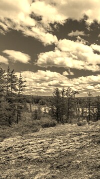 Sepia