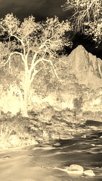 Sepia + Negatyw