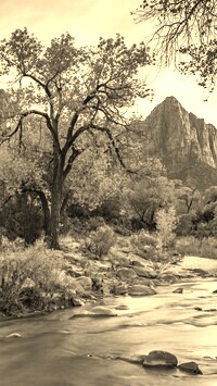 Sepia