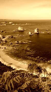 Sepia