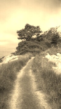 Sepia