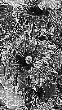 Skamielina