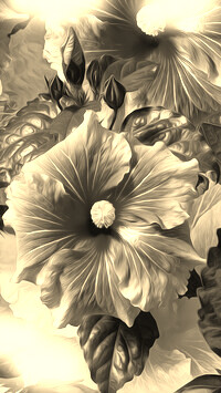 Szary + Sepia