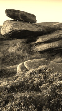 Szary + Sepia