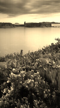 Szary + Sepia