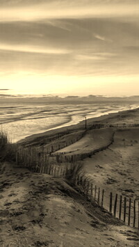 Szary + Sepia