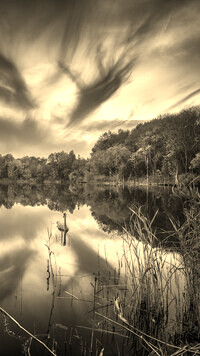 Szary + Sepia