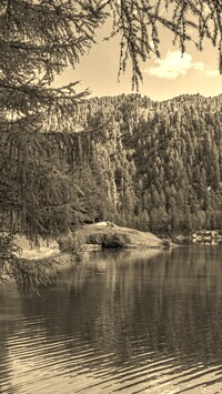 Szary + Sepia
