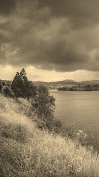 Sepia
