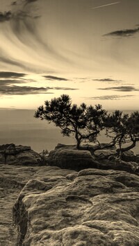 Szary + Sepia