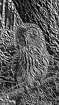 Skamielina